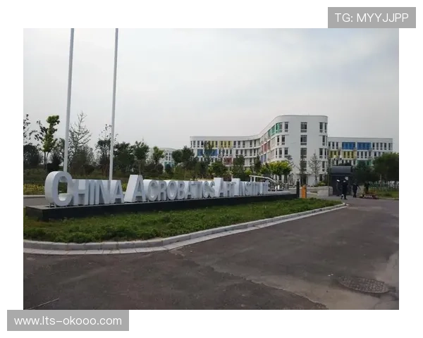 BMX运动纳入学校体育课程 多地开展校园推广计划